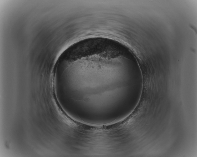 X0000091911522200709121508