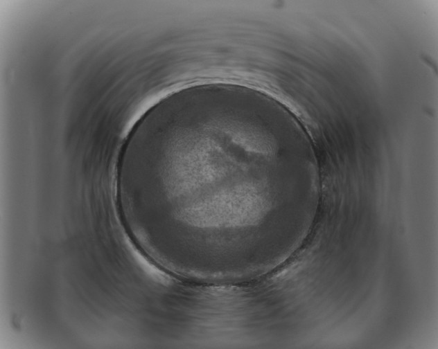 X0000091911523200709121508