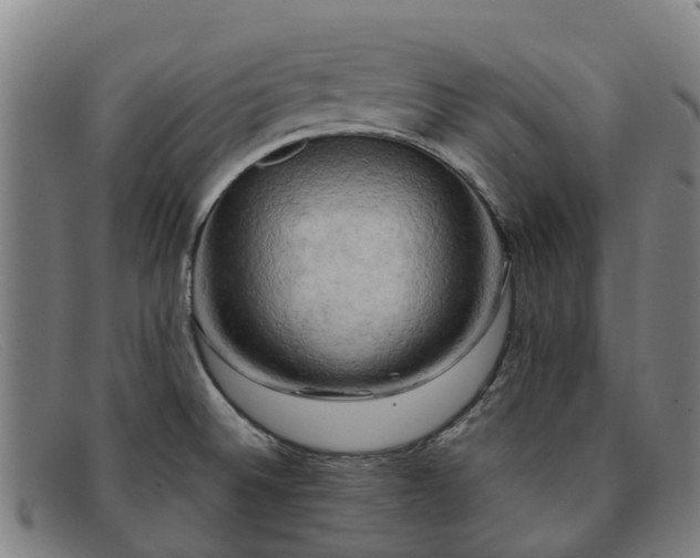 X0000091911524200709121508