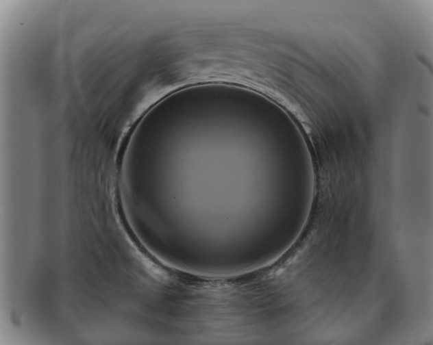 X0000091911525200709121508