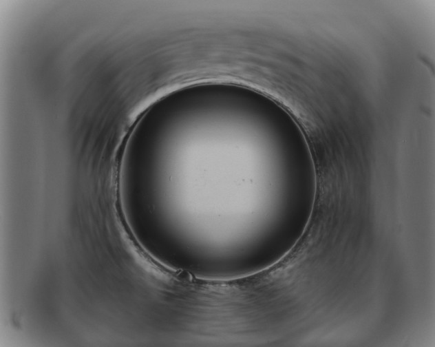 X0000091911526200709121508