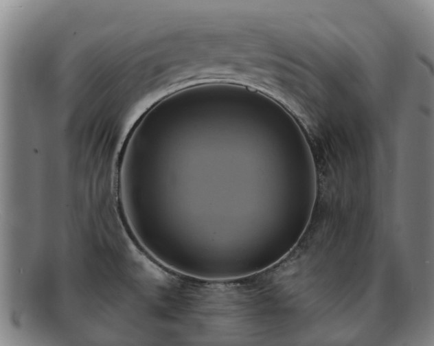 X0000091911527200709121508