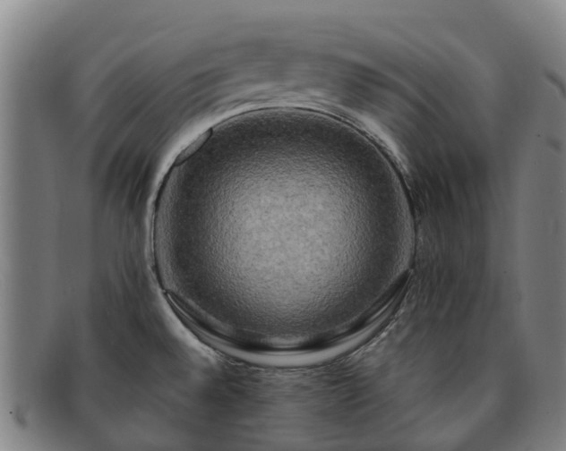 X0000091911528200709121508