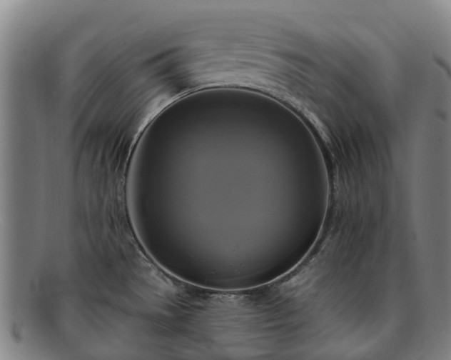 X0000091911529200709121508