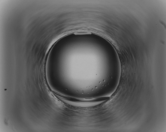 X0000091911530200709121508