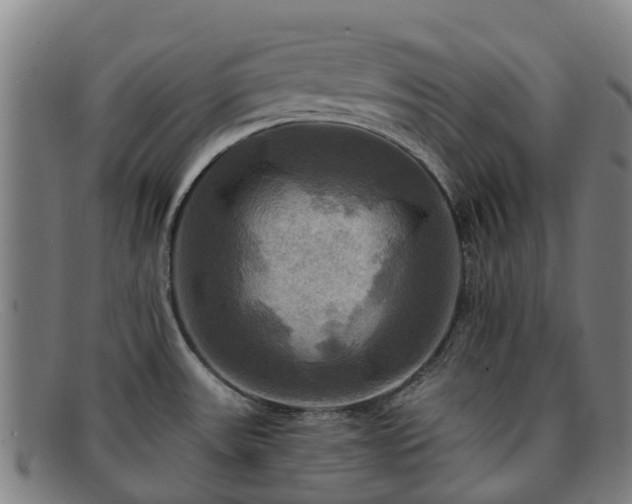 X0000091911531200709121508