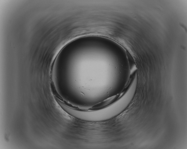 X0000091911532200709121508