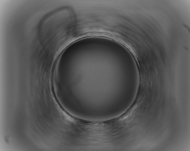 X0000091911533200709121508