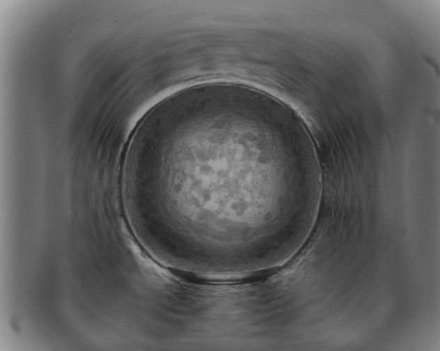 X0000091911534200709121508