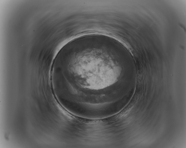 X0000091911535200709121508