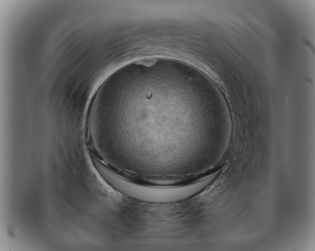 X0000091911536200709121508