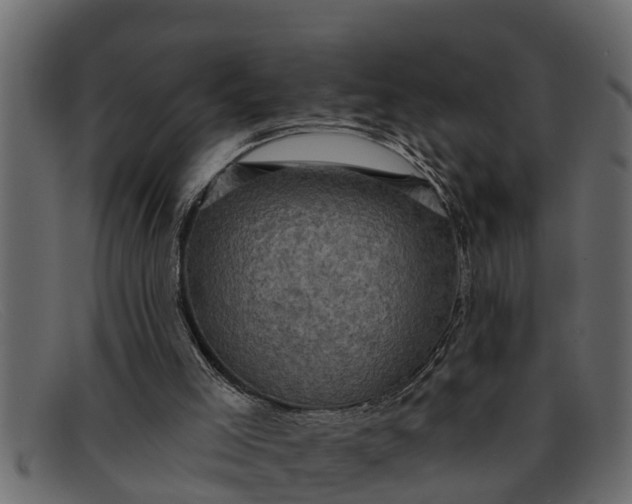 X0000091910005200709191329