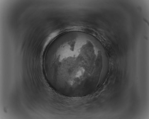 X0000091910006200709191329