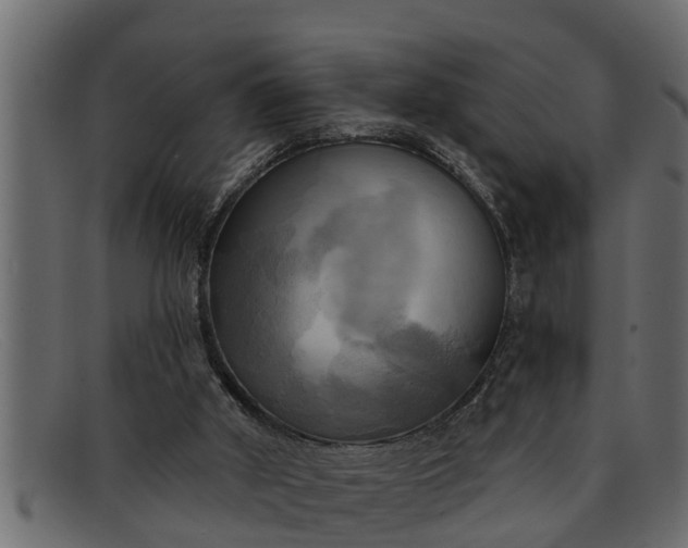 X0000091910010200709191329