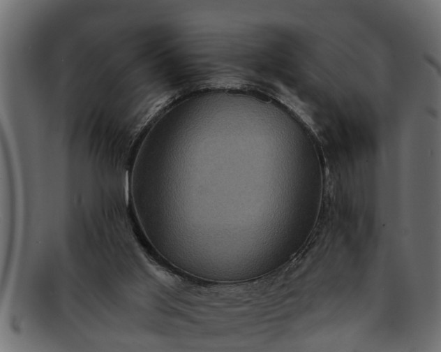 X0000091910013200709191329