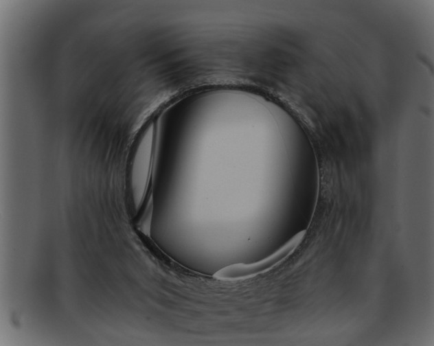 X0000091910015200709191329