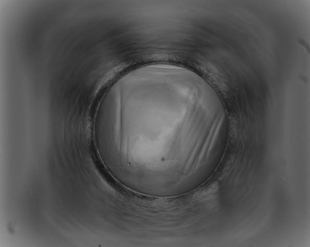 X0000091910016200709191329