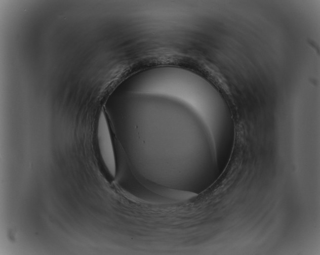 X0000091910018200709191329