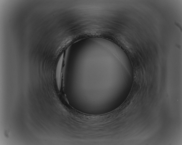 X0000091910023200709191329