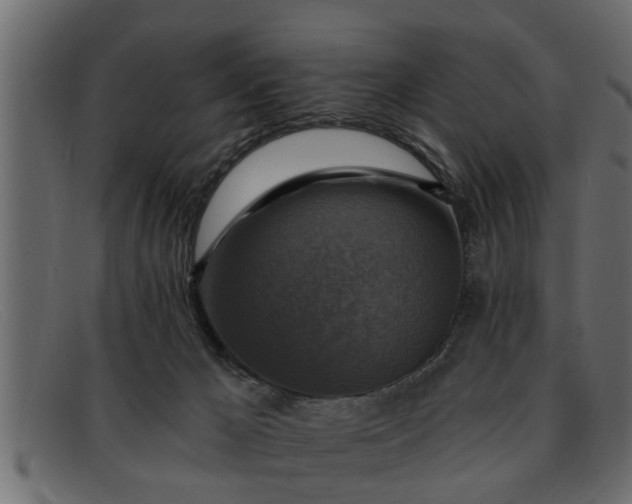 X0000091910029200709191329