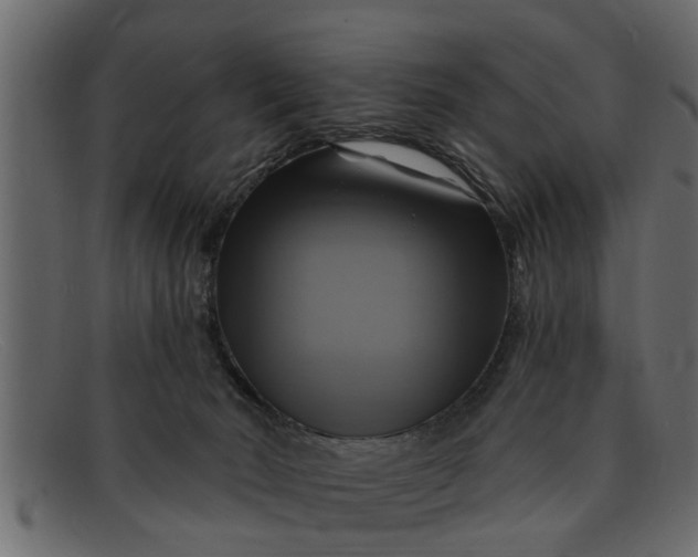 X0000091910030200709191329