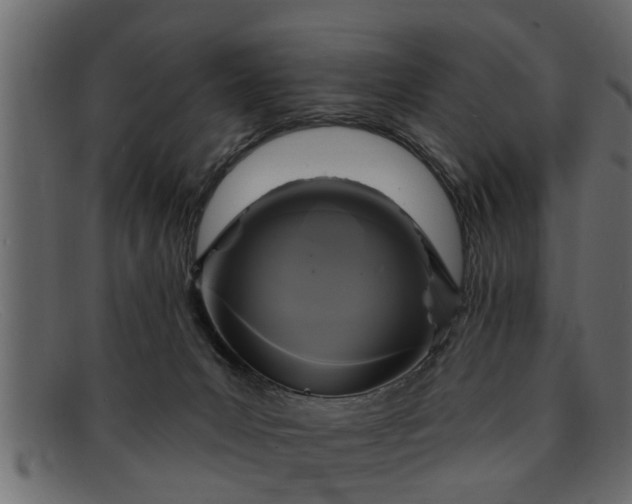 X0000091910031200709191329