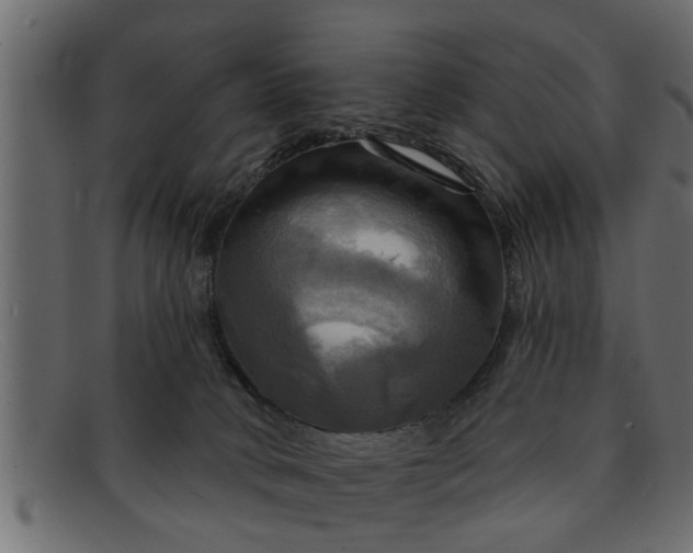 X0000091910034200709191328