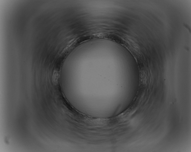 X0000091910036200709191328