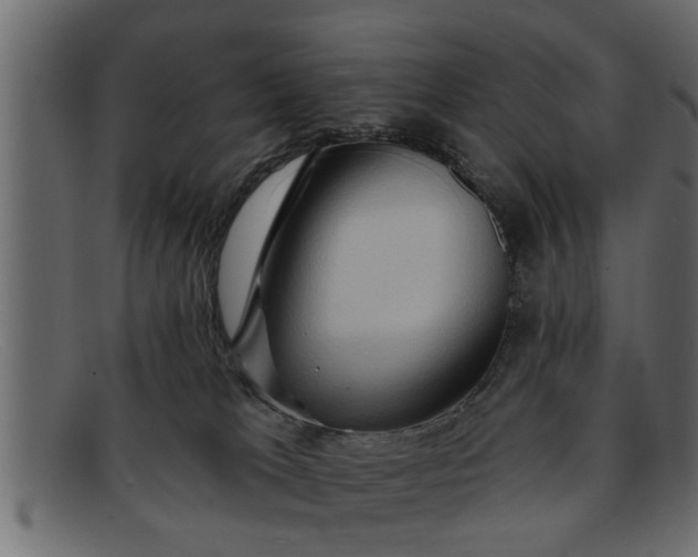 X0000091910037200709191328