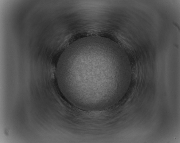 X0000091910038200709191328