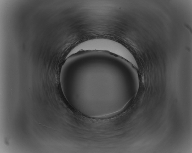 X0000091910039200709191328