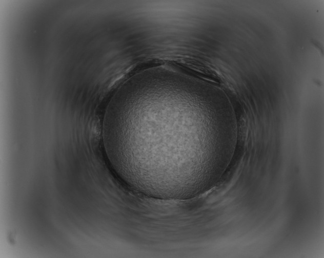 X0000091910040200709191328