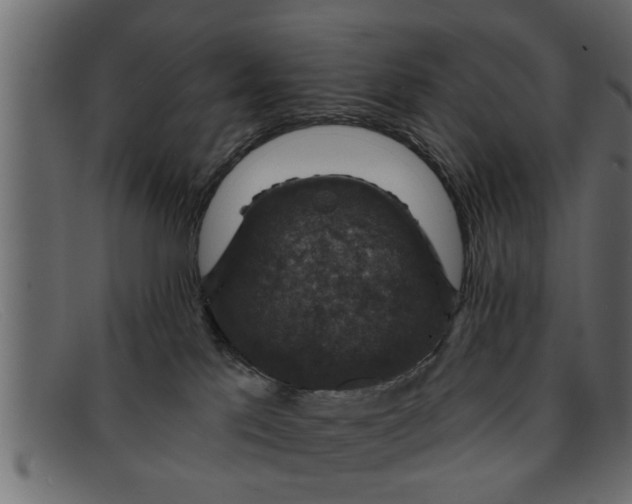 X0000091910041200709191328