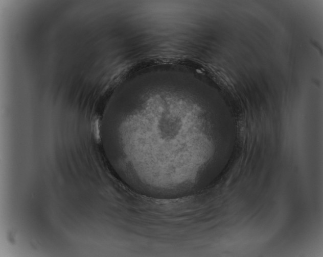 X0000091910042200709191328