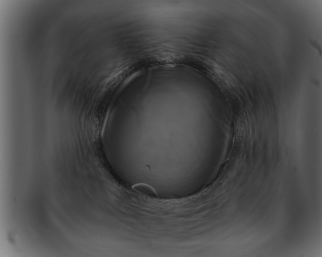 X0000091910043200709191328