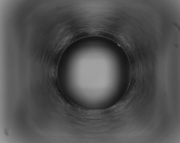 X0000091910044200709191328