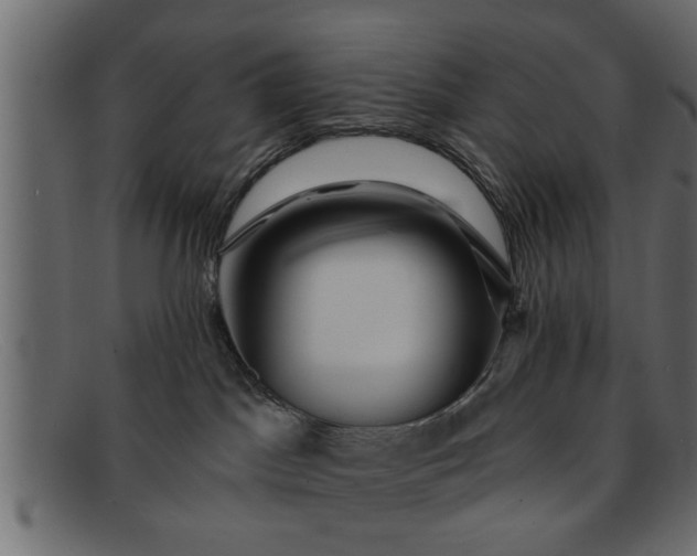 X0000091910045200709191328