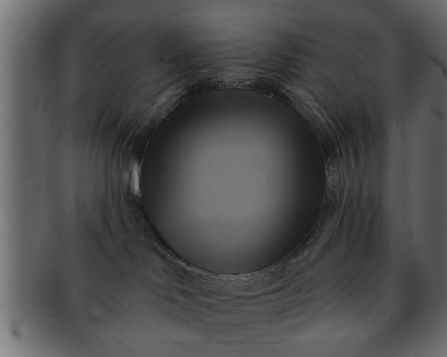 X0000091910046200709191328