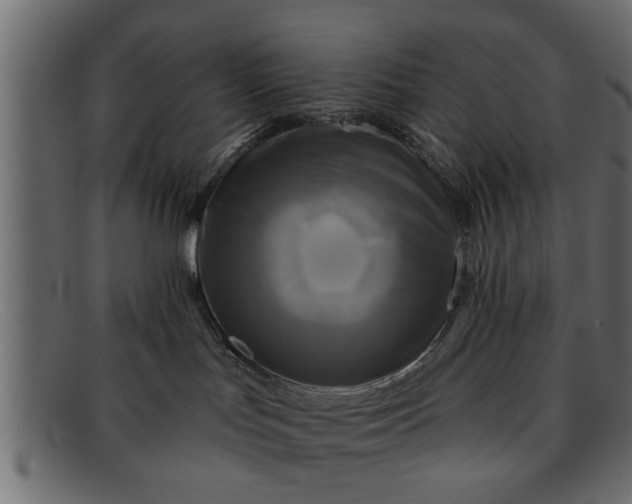 X0000091910047200709191328