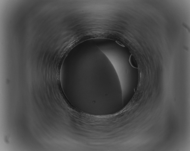 X0000091910048200709191328