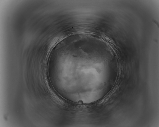 X0000091910049200709191328