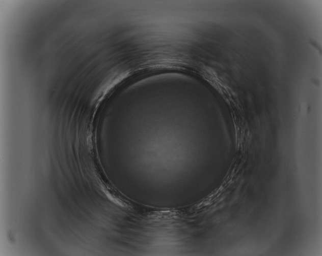 X0000091910050200709191328