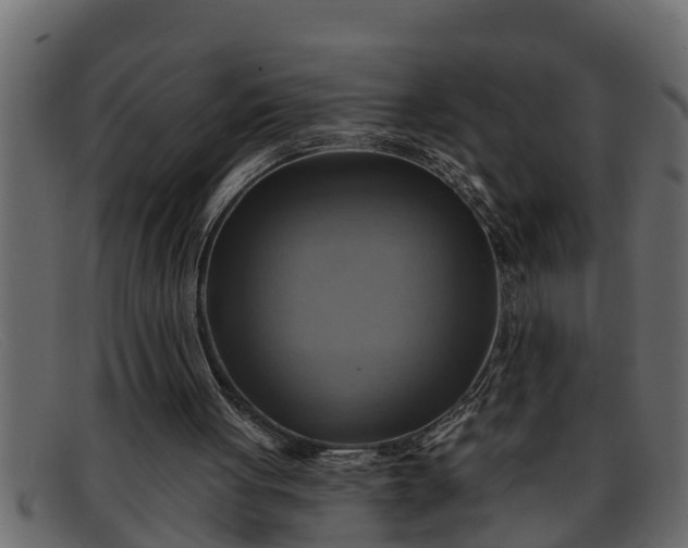 X0000091910051200709191328