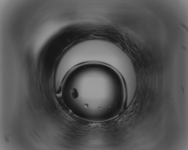 X0000091910052200709191328