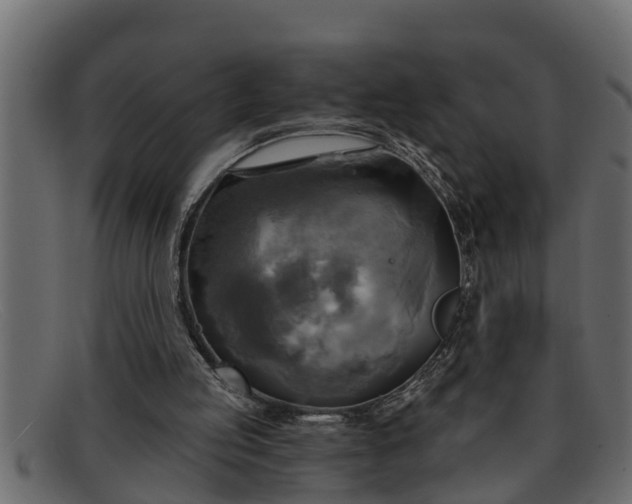 X0000091910053200709191328