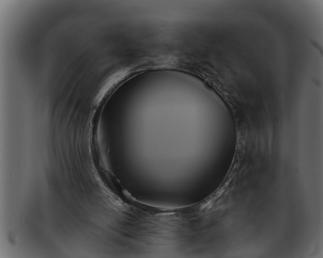 X0000091910054200709191328