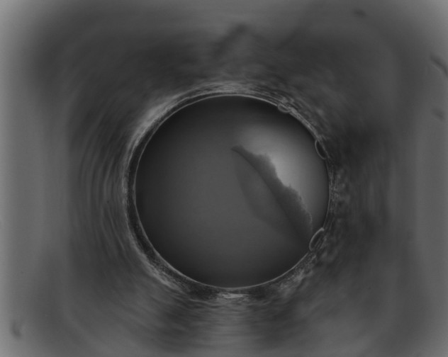 X0000091910055200709191328