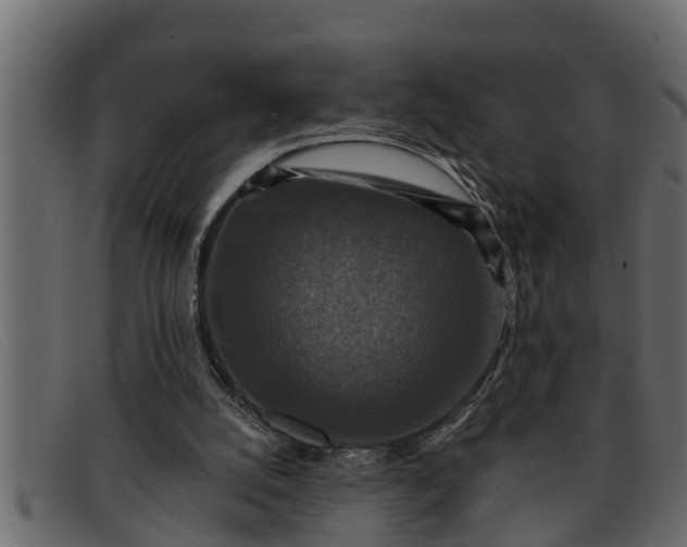 X0000091910056200709191328