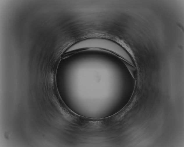 X0000091910057200709191328