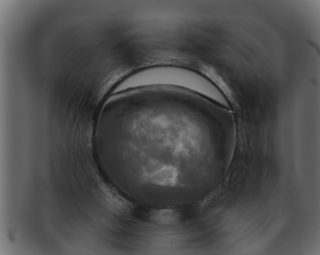 X0000091910058200709191328